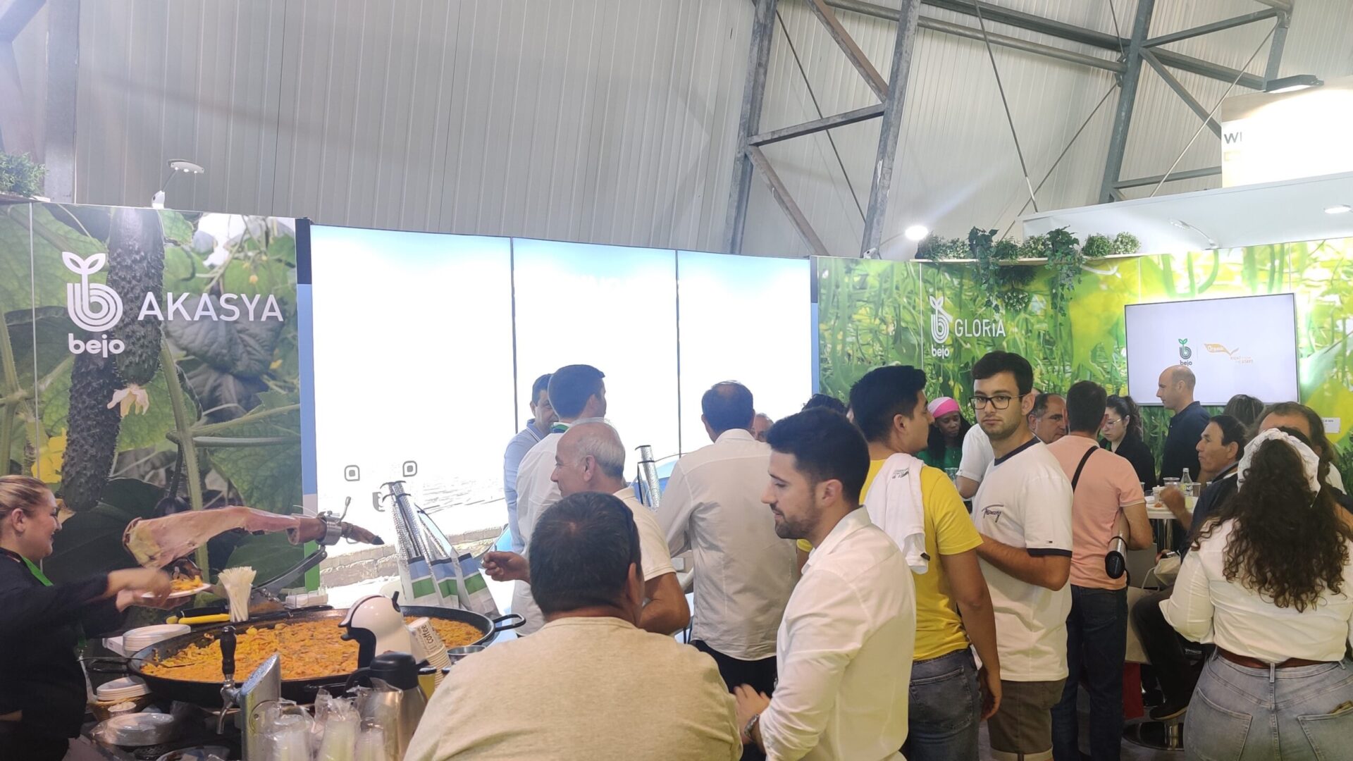 bejo iberica infoagro|2|bejo iberica pepifurgo